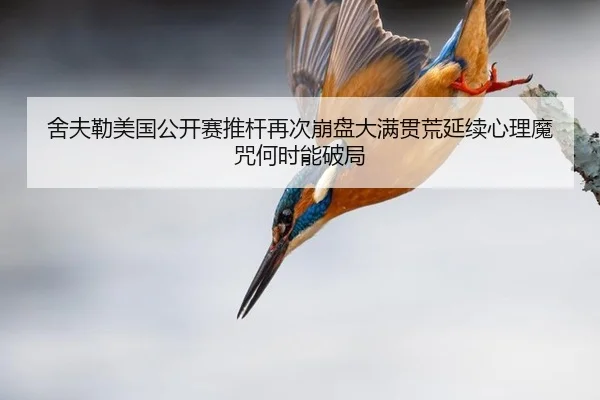 she-fu-lei-mei-guo-gong-kai-sai-tui-gan-zai-ci-beng-pan-da-man-guan-huang-yan-xu-xin-li-mo-zhou-he-shi-neng-po-ju-2-456.jpg